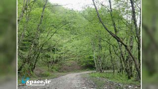 جاده زیبا در مسیر اقامتگاه بوم گردی وارش - رودبار - گیلان